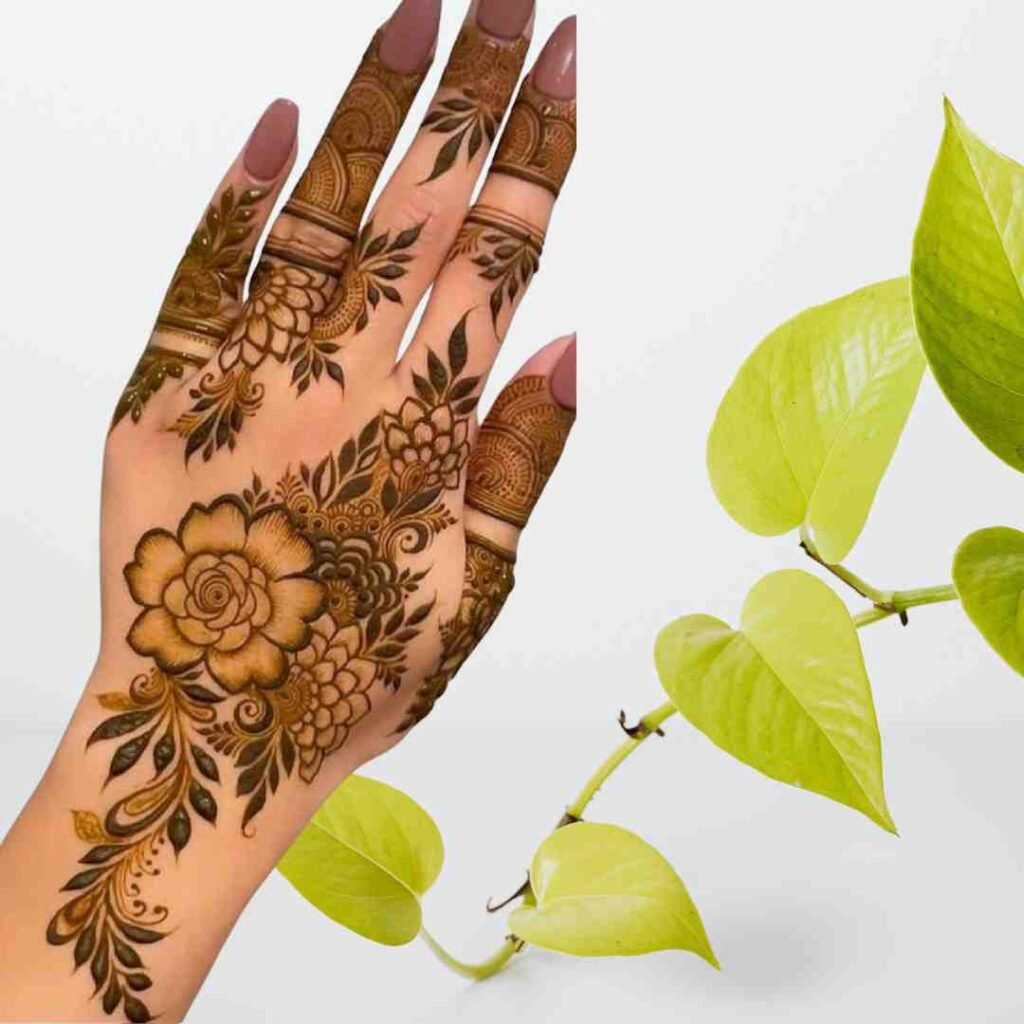 Stylish Khafif Mehndi Design Simple